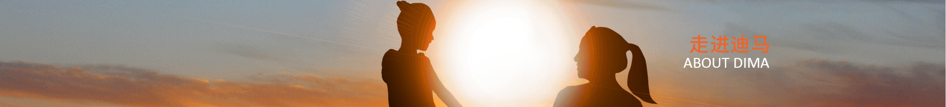 迪馬簡(jiǎn)介-公司組織-發(fā)展歷程-公司榮譽(yù)